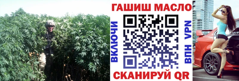 Купить  Кадников  ТГК гашишное масло 