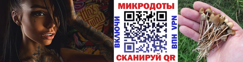 Псилоцибиновые грибы прущие грибы  Купить где  Кадников 